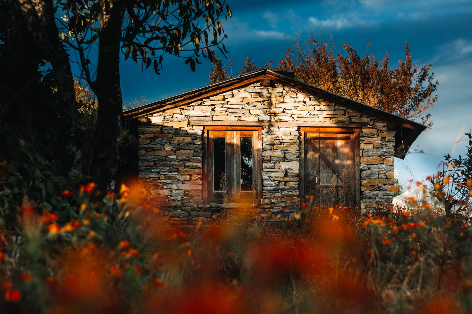 Stone cottage at Shama Brews and Base surrounded by autumn flowers in the Kumaon Himalayas